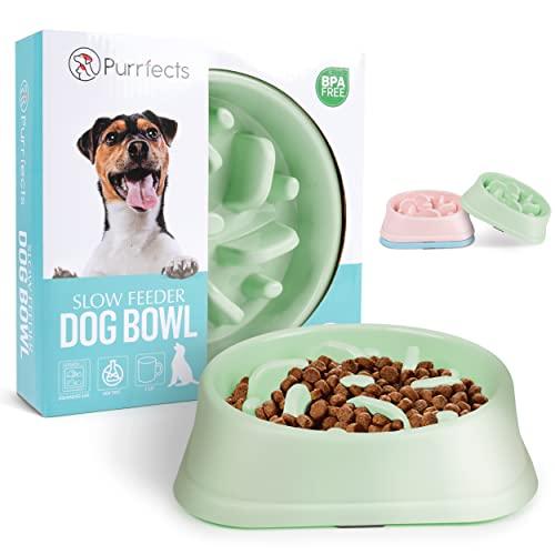 Pet Slow Feeder Bowl – Dog & Cat Feeding Bowl